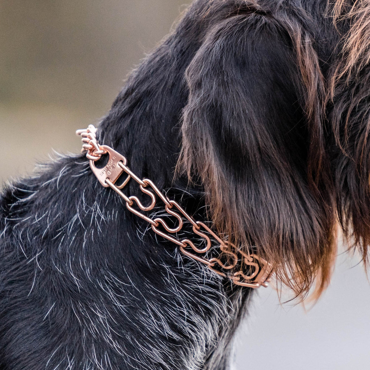 Dog Training Prong Collar product image 2