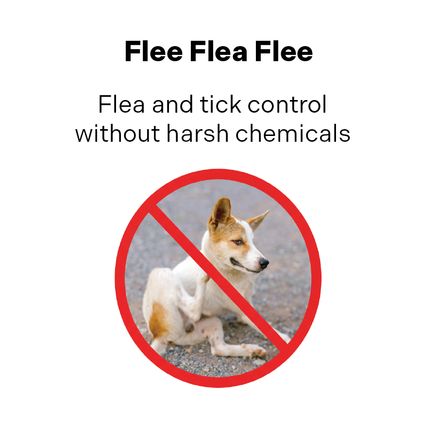 Dog Supplement product image 5