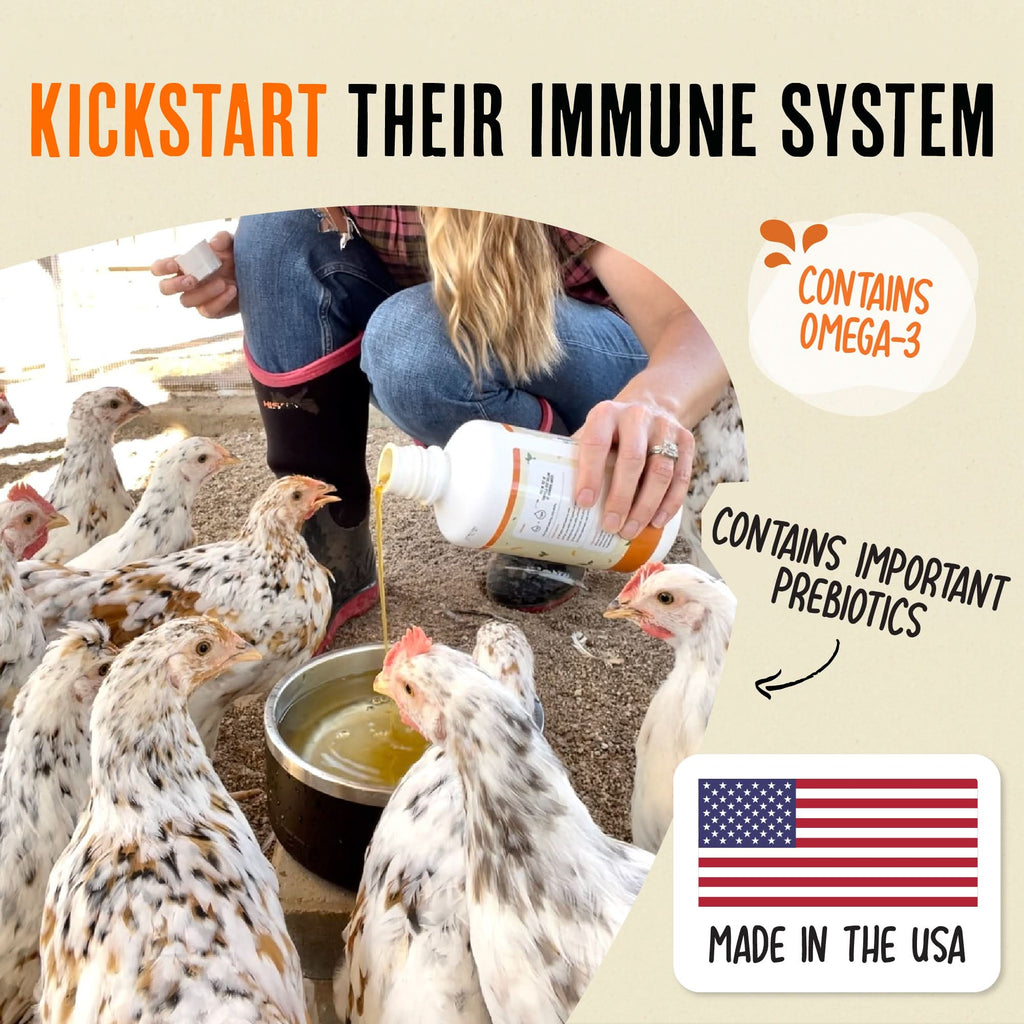 Chicken Immunity and Digestion Supplement product image 3