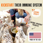 Chicken Immunity and Digestion Supplement product image 3