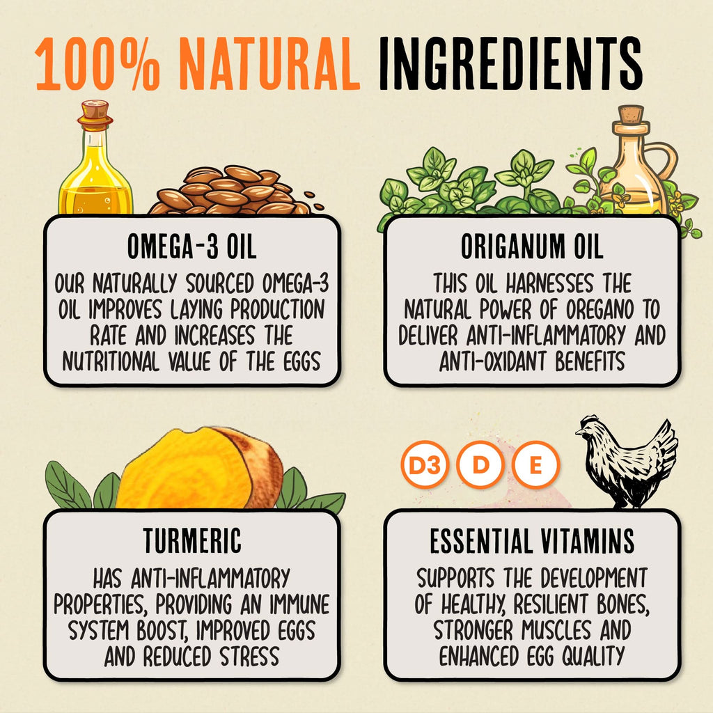 Chicken Immunity and Digestion Supplement product image 4