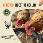 Chicken Immunity and Digestion Supplement product image 5