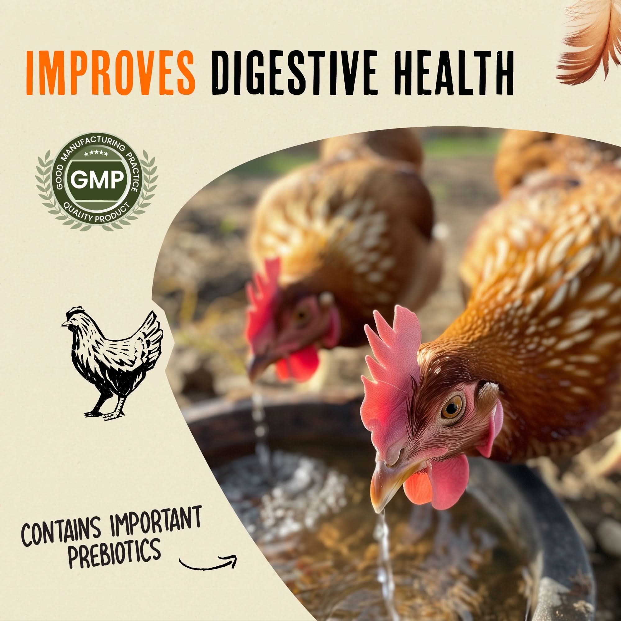 Chicken Immunity and Digestion Supplement product image 5
