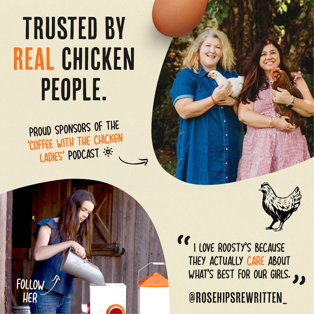 Chicken Immunity and Digestion Supplement product image 6