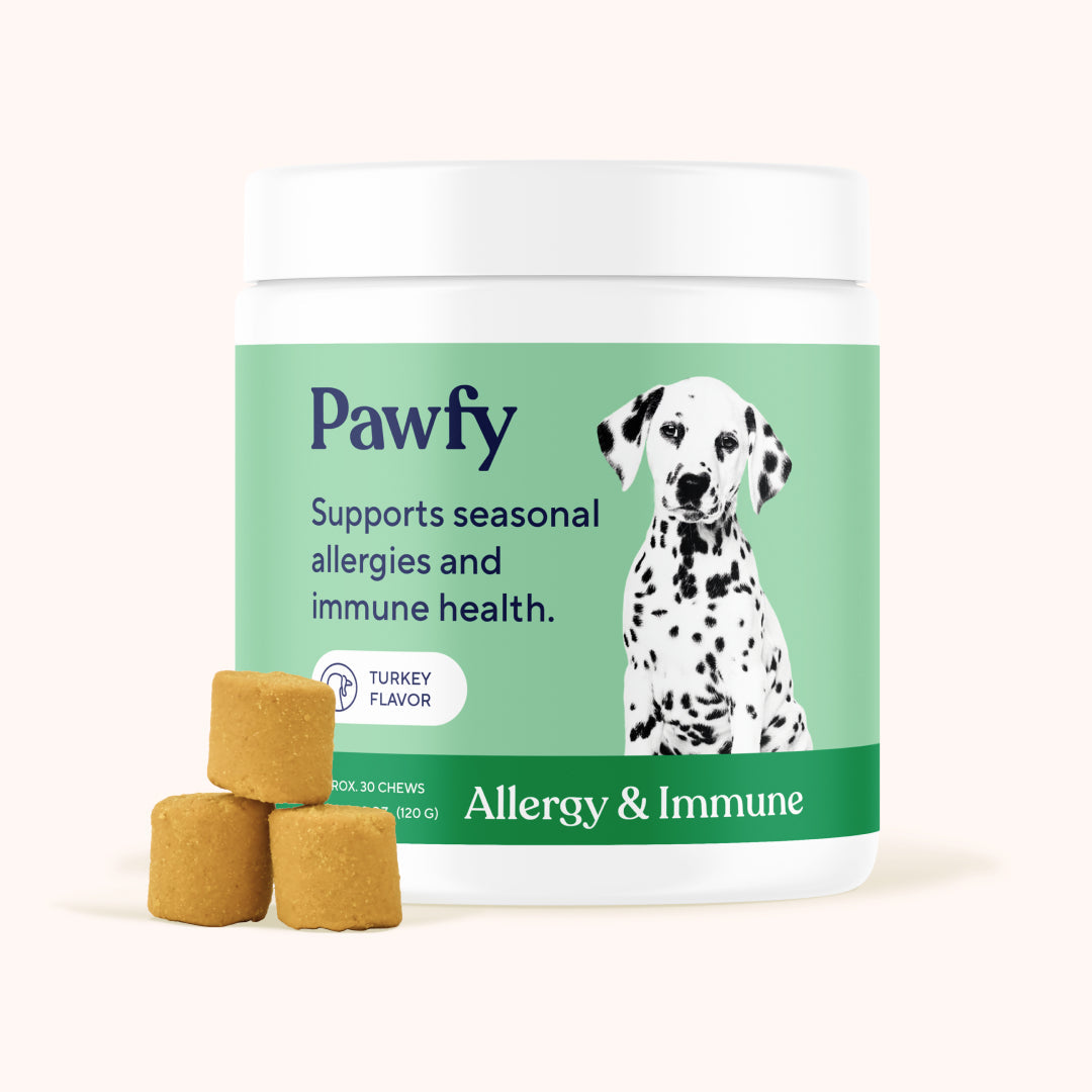 Dog Allergy and Immune Support Soft Chews product image 2