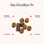 Dog Allergy and Immune Support Soft Chews product image 3