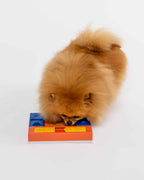 Dog Puzzle Toy product image 6