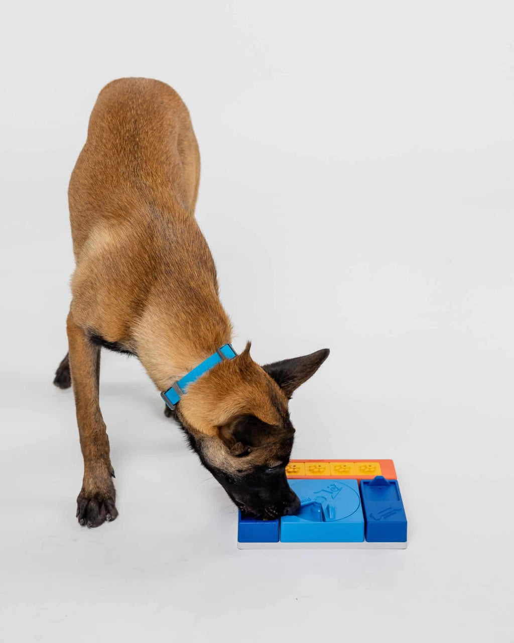 Dog Puzzle Toy product image 7