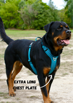 Dog Harness product image 6