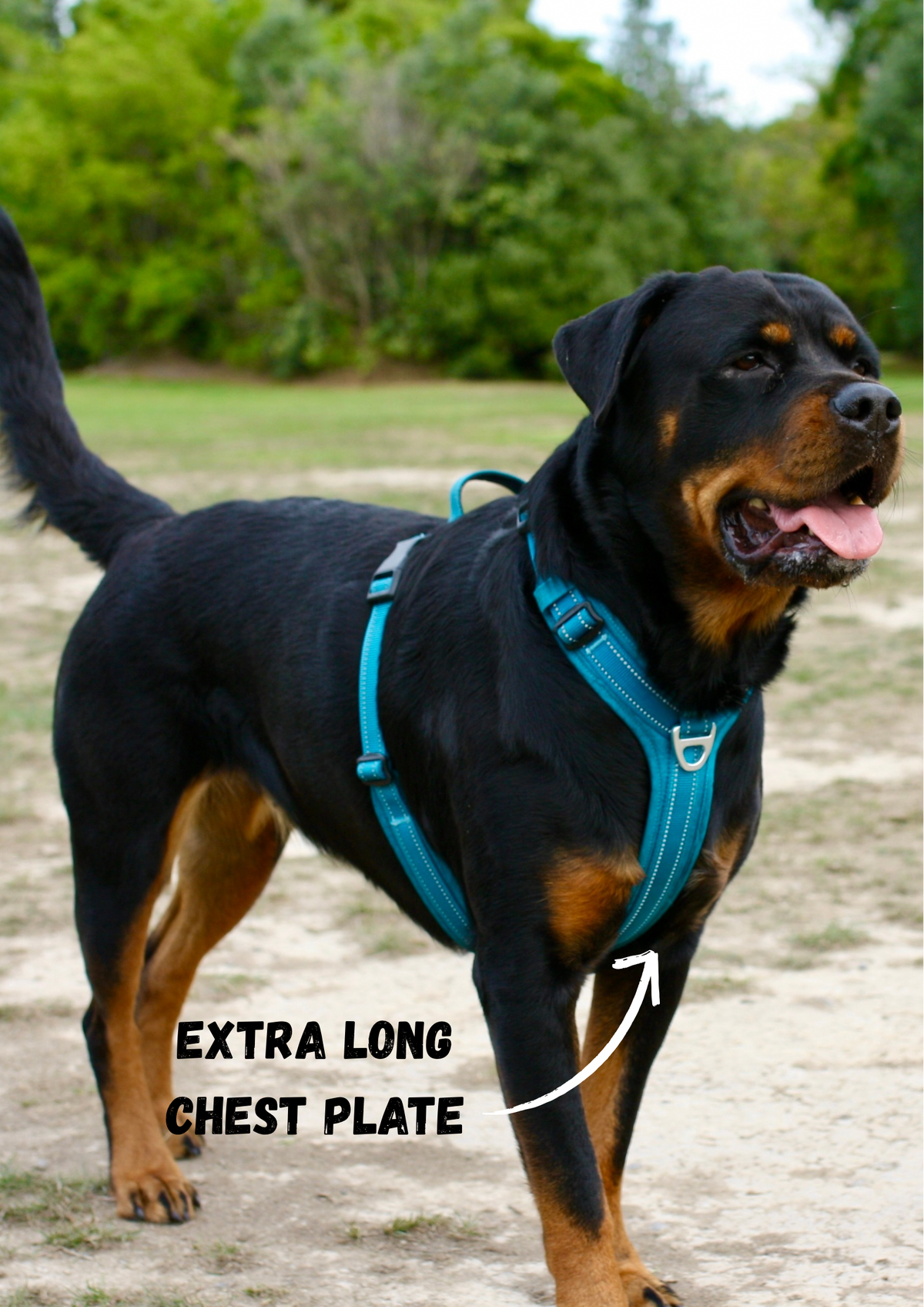 Dog Harness product image 6