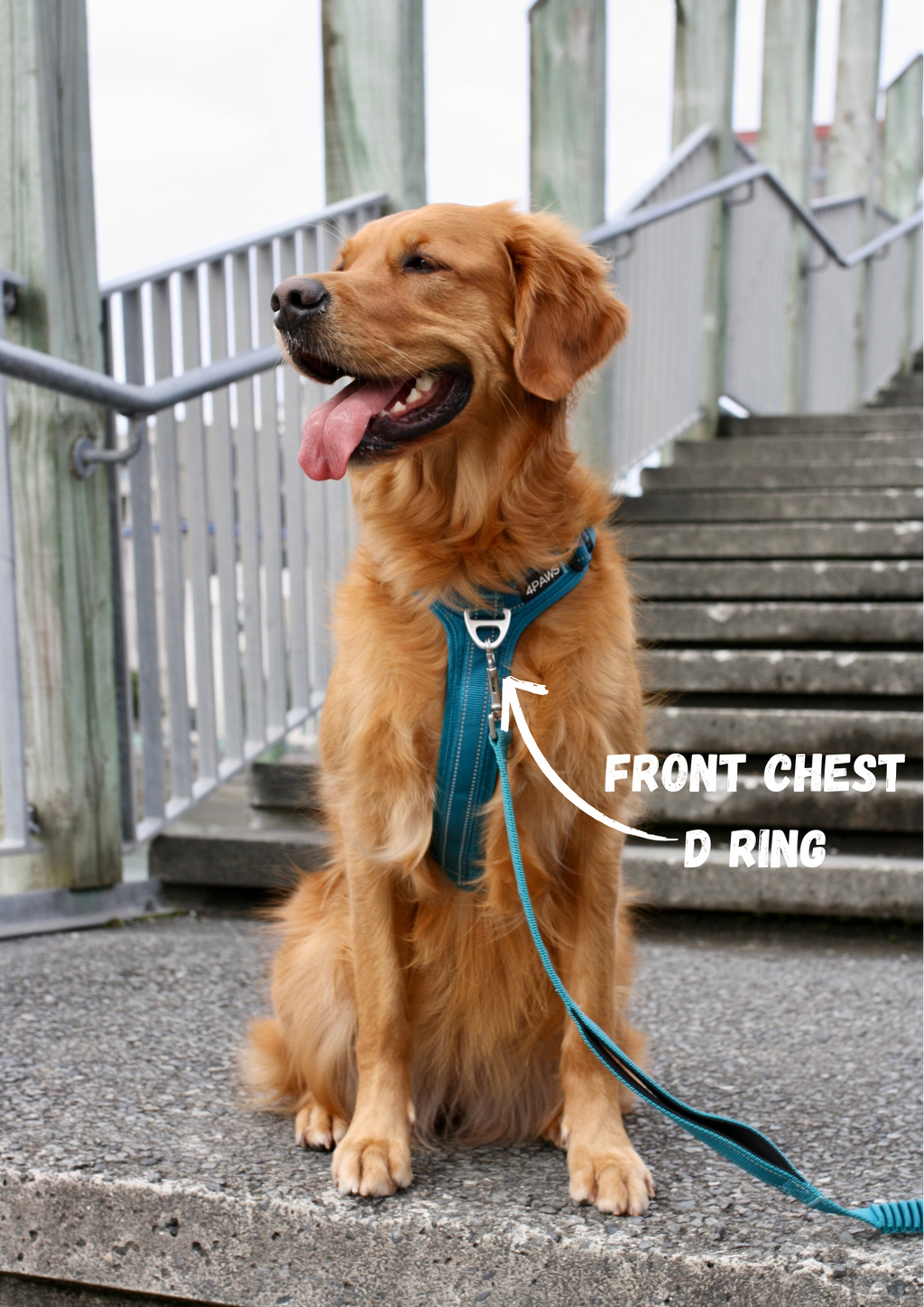 Dog Harness product image 8