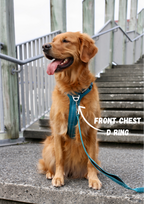 Dog Harness product image 8