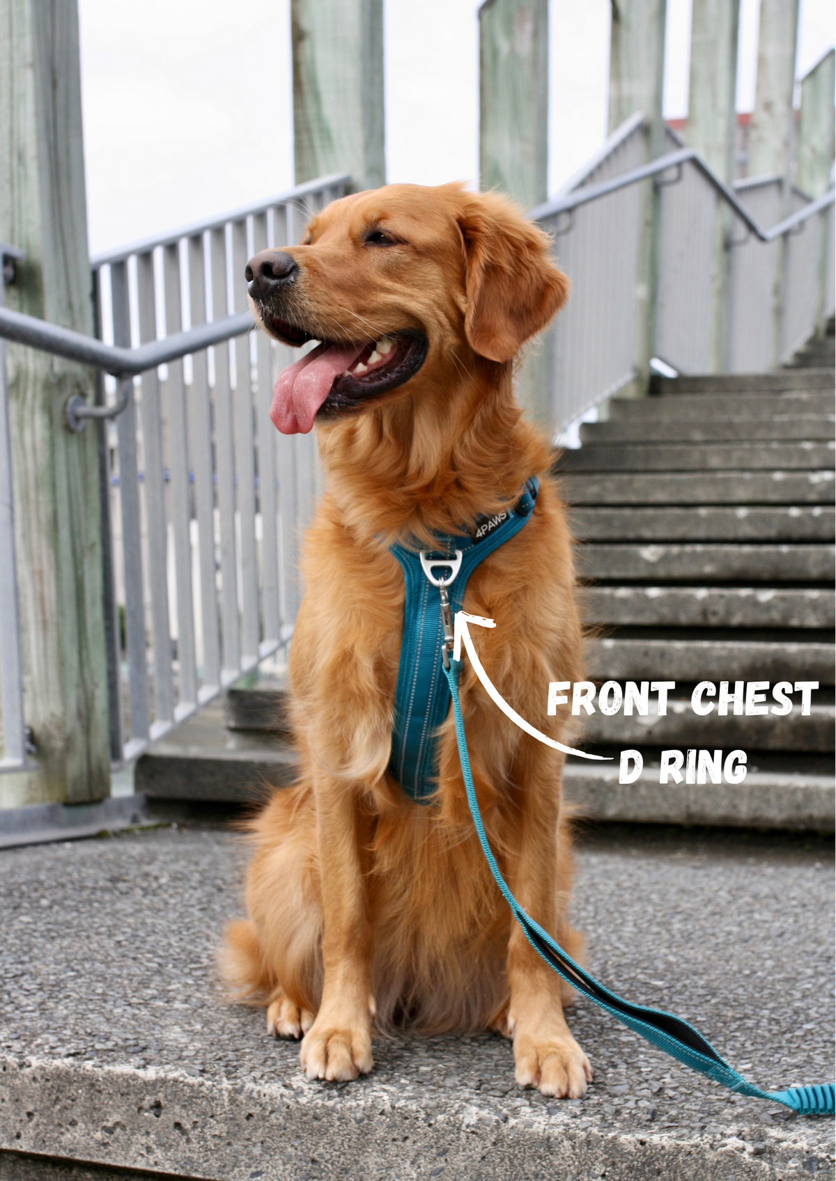 Dog Harness product image 8
