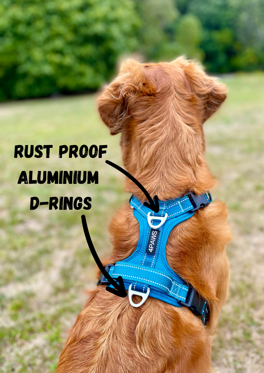 Dog Harness product image 9