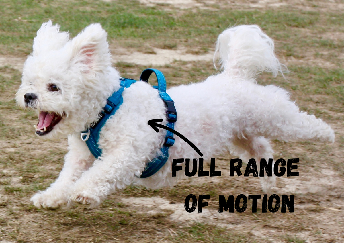 Dog Harness product image 10