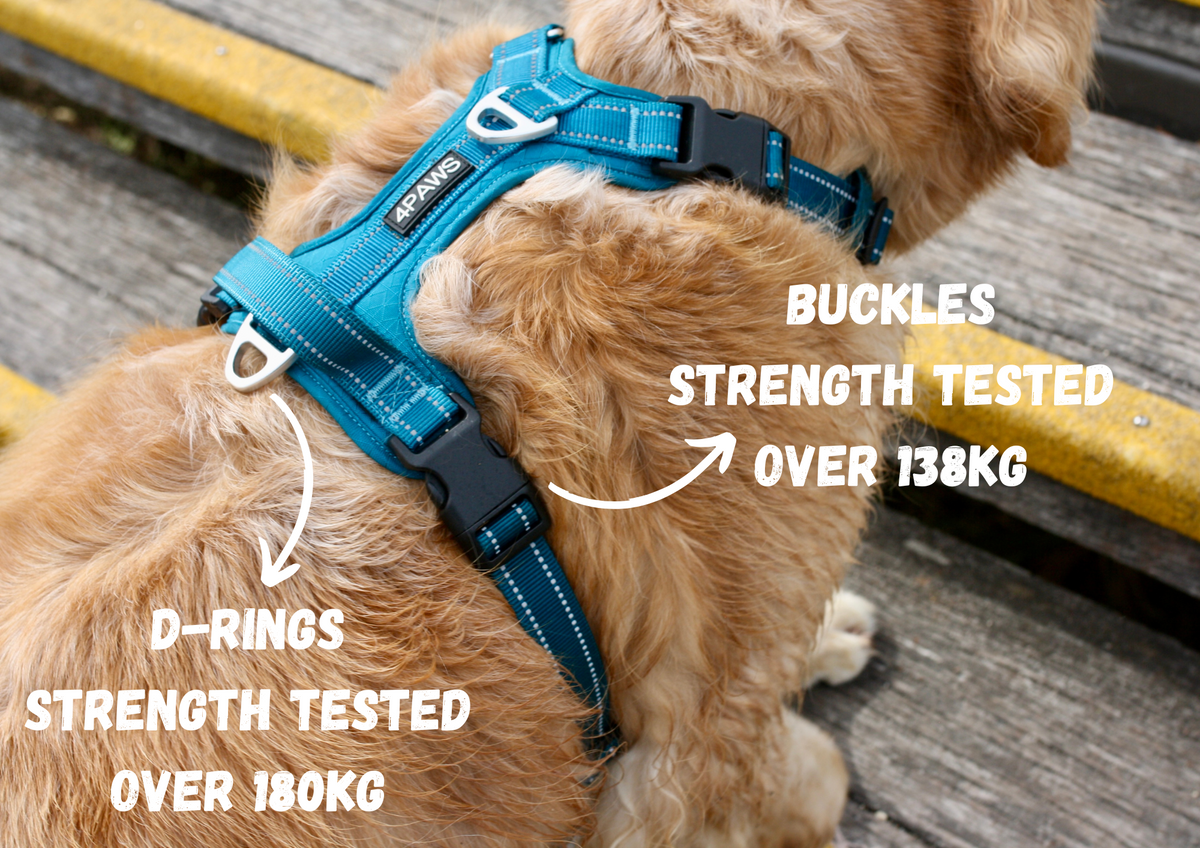 Dog Harness product image 11