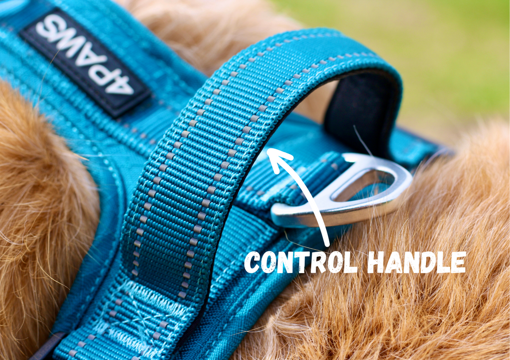 Dog Harness product image 12