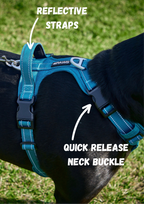 Dog Harness product image 14