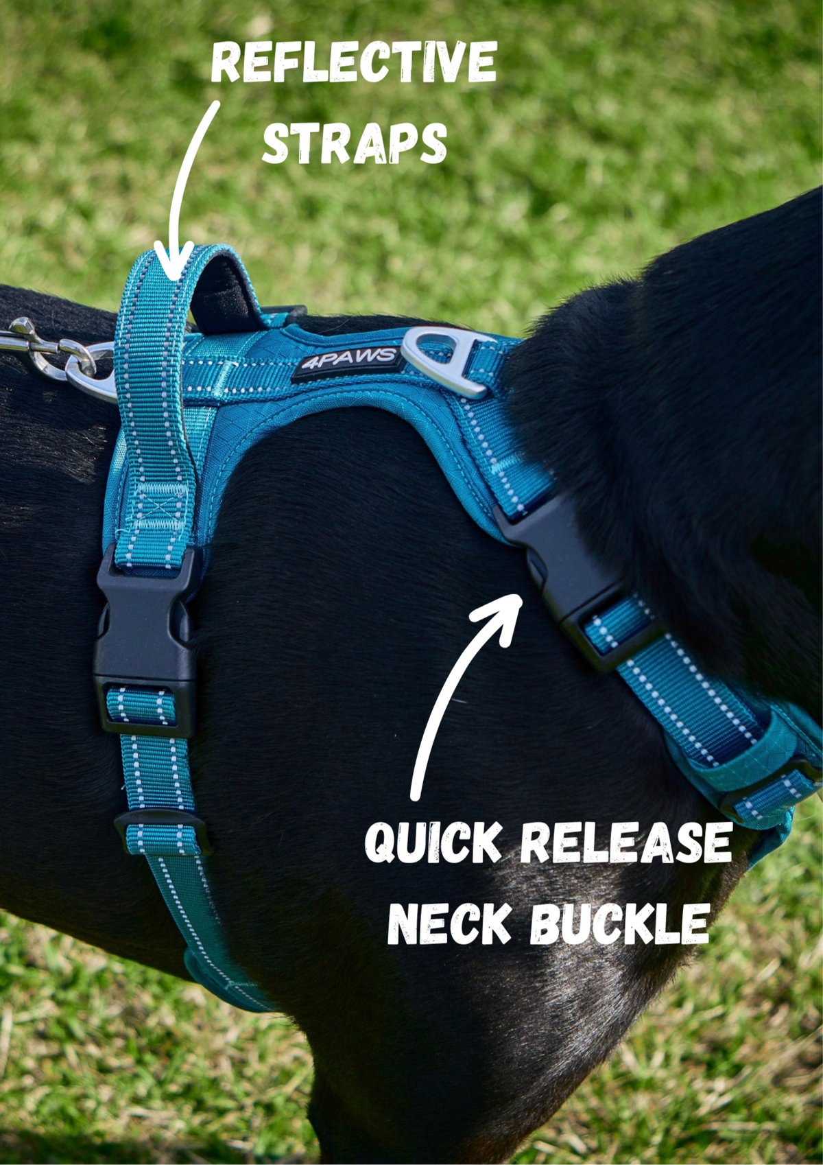 Dog Harness product image 14