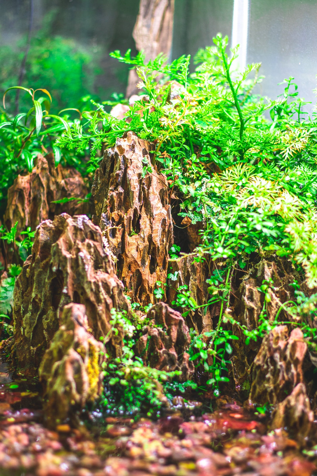 Aquarium Aquascaping Stone product image 5