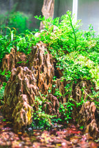 Aquarium Aquascaping Stone product image 5