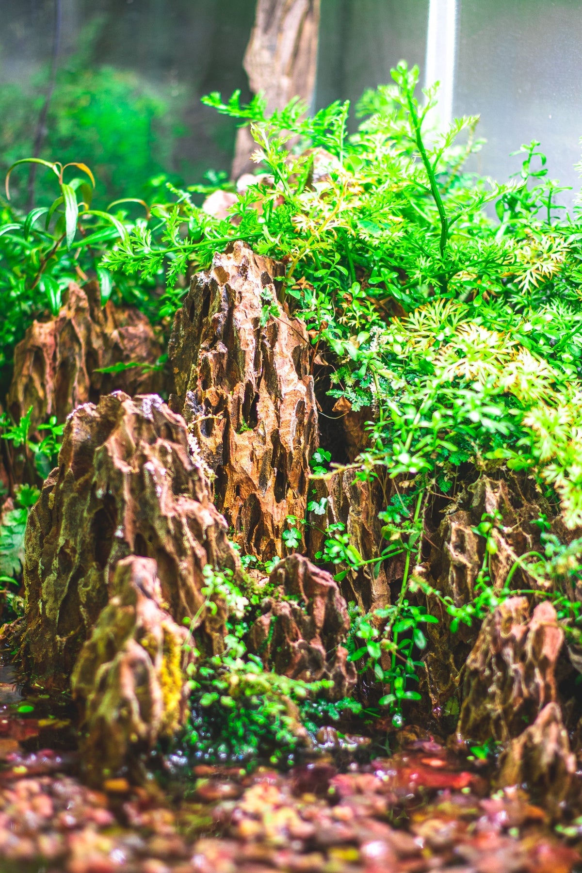 Aquarium Aquascaping Stone product image 5