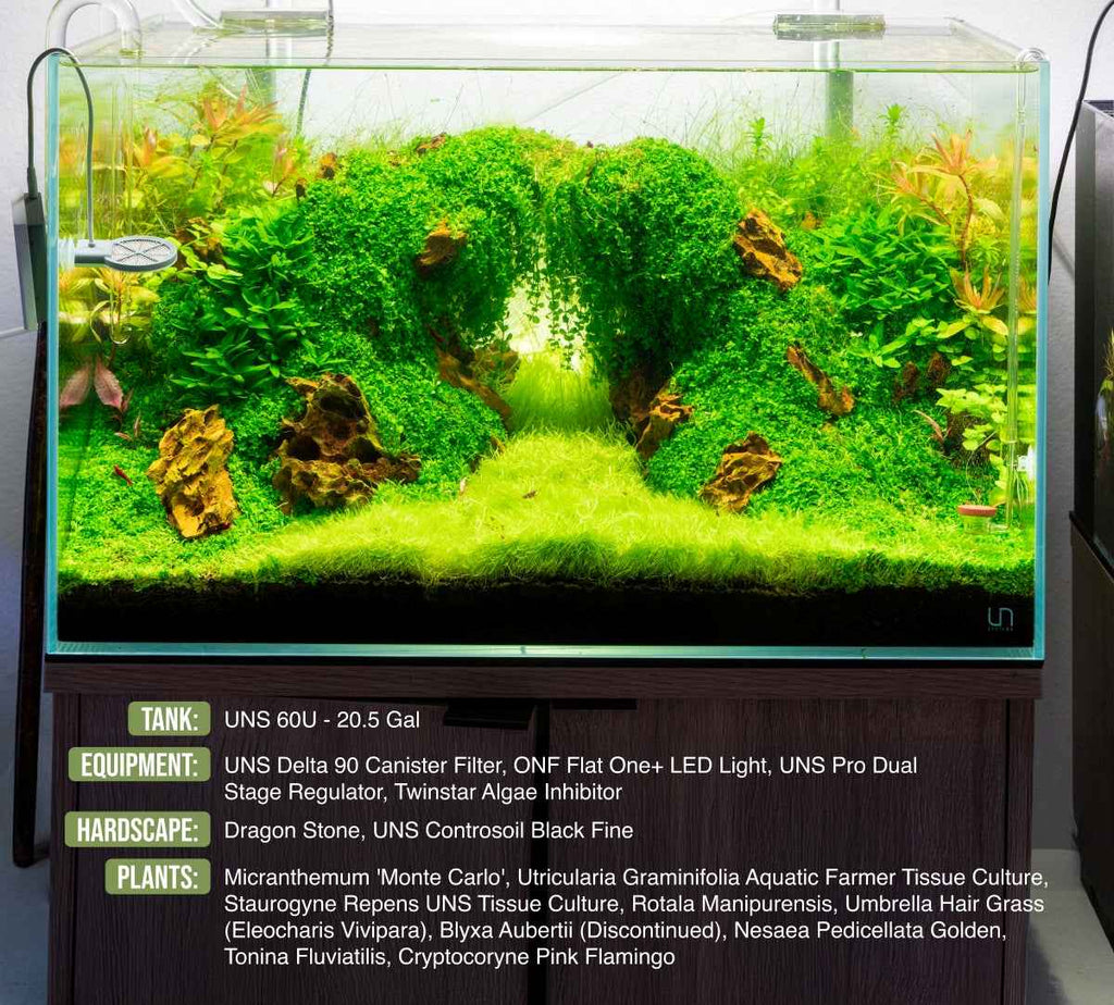 Aquarium Aquascaping Stone product image 7