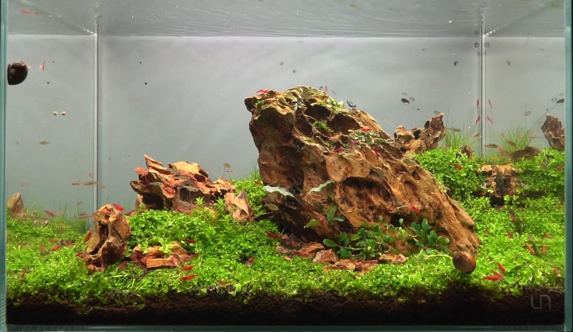Aquarium Aquascaping Stone product image 8