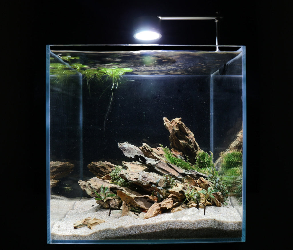 Aquarium Aquascaping Stone product image 13