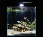 Aquarium Aquascaping Stone product image 13