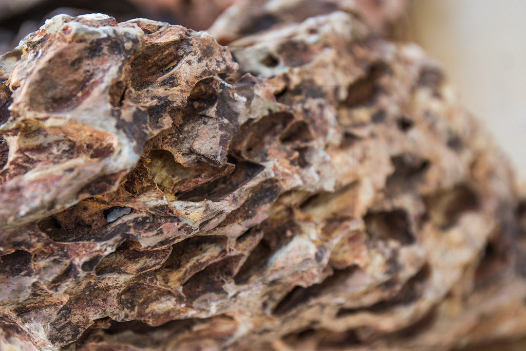 Aquarium Aquascaping Stone product image 15