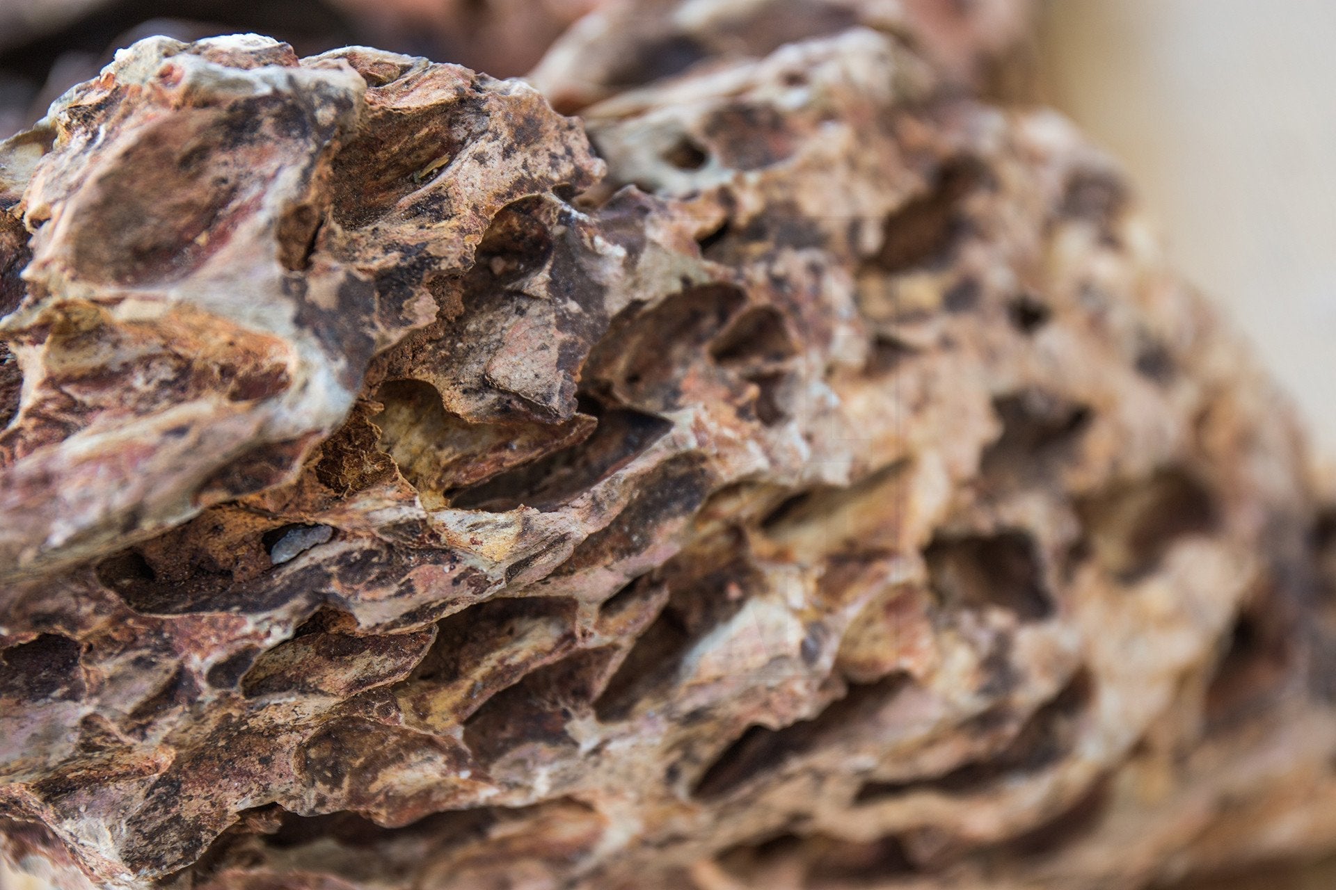 Aquarium Aquascaping Stone product image 15