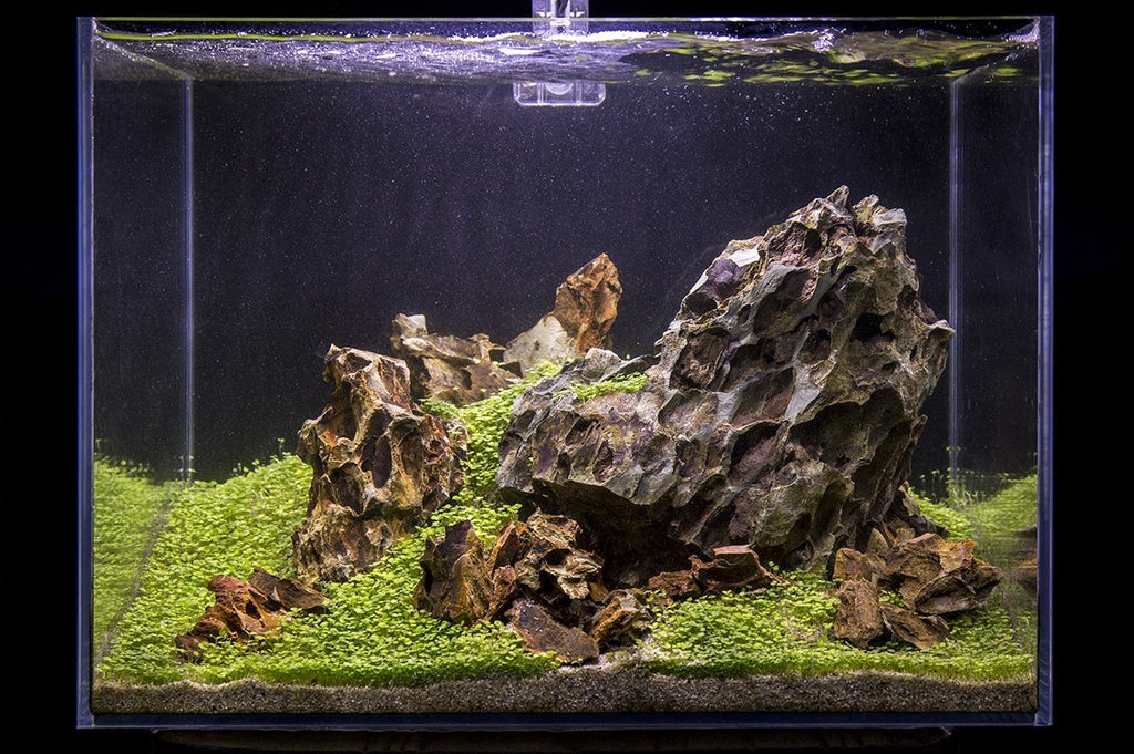 Aquarium Aquascaping Stone product image 16