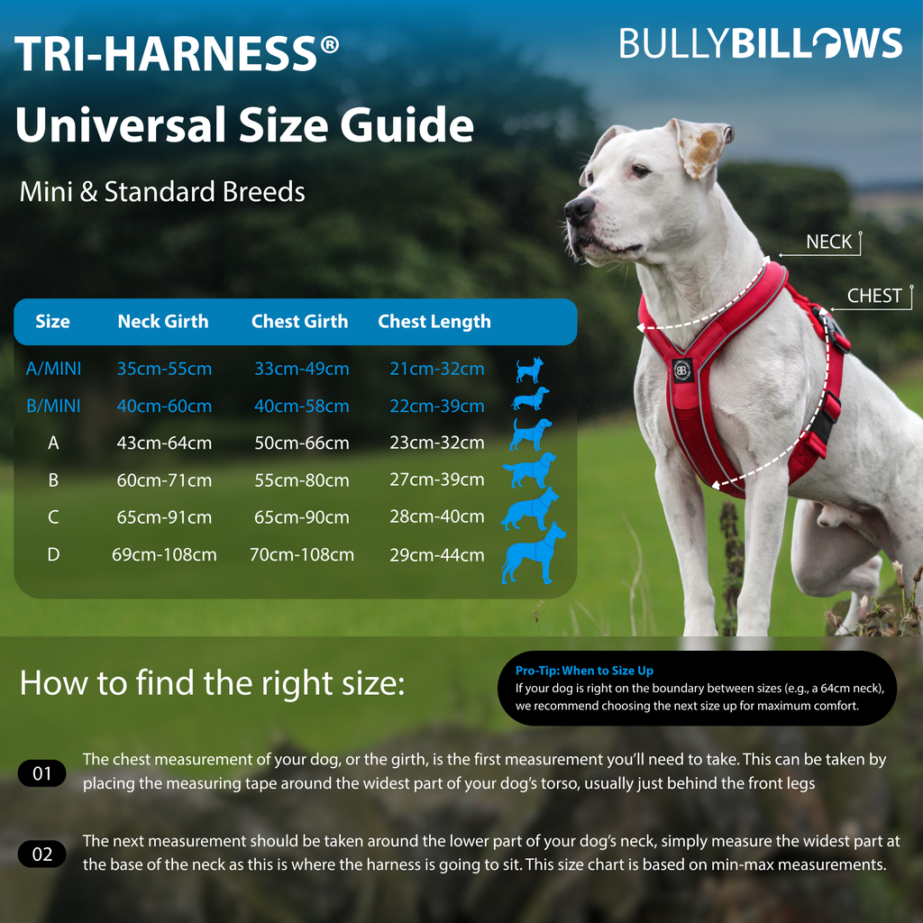 Magenta No-Pull Dog Training Harness product image 4