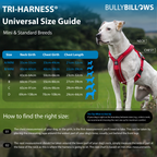 Magenta No-Pull Dog Training Harness product image 4