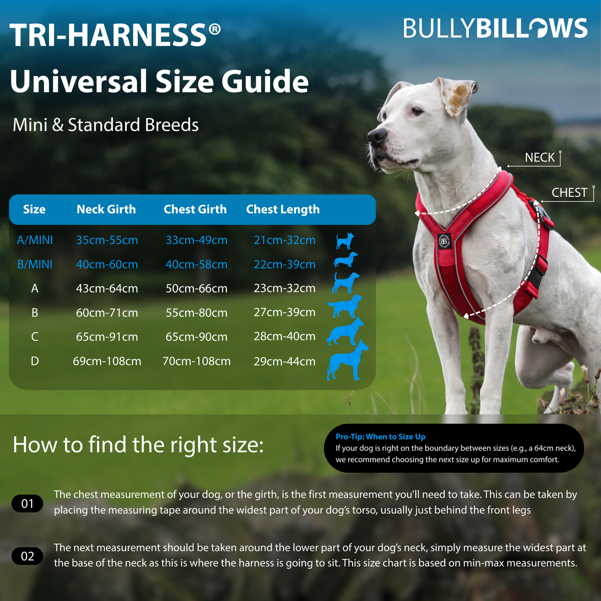 Magenta No-Pull Dog Training Harness product image 4