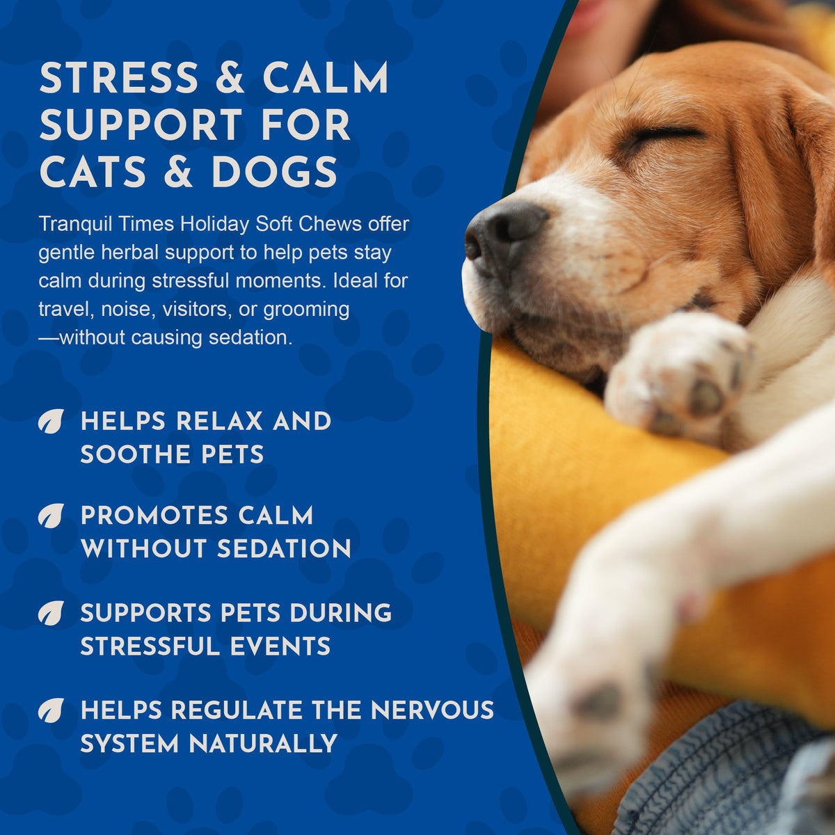 Calming Soft Chews product image 5