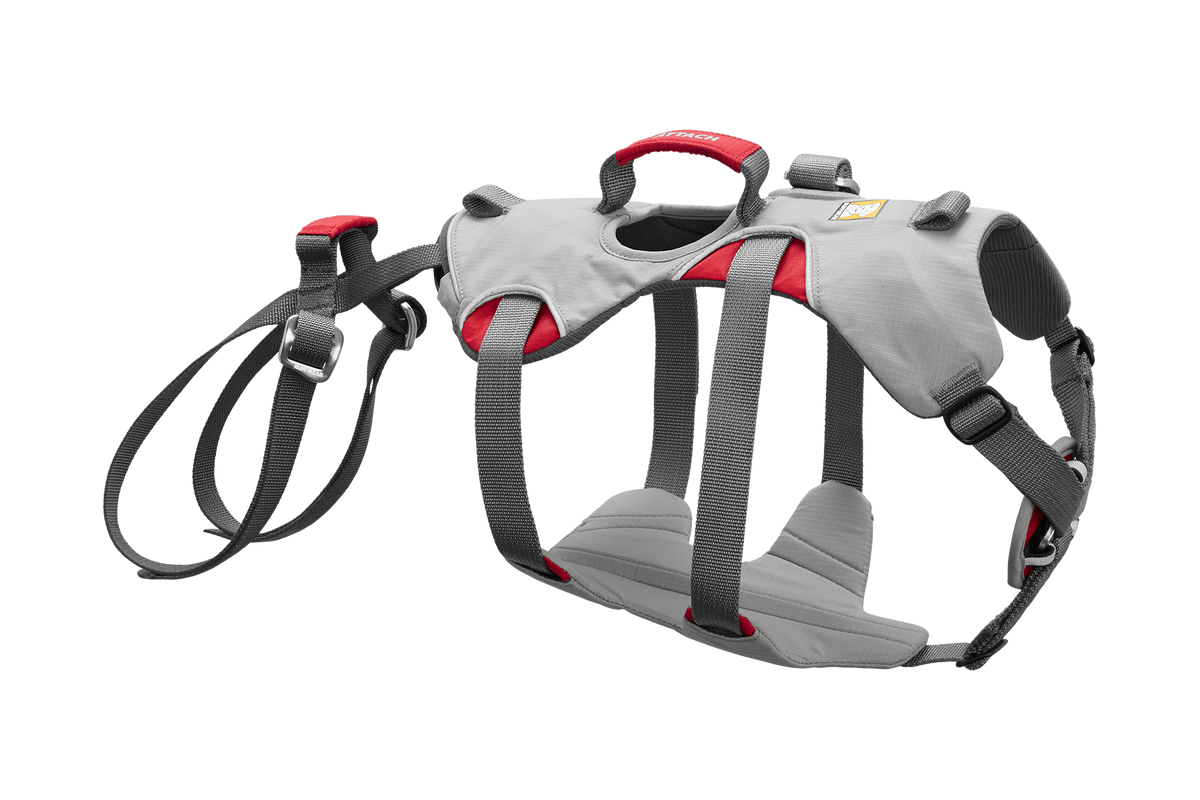 Dog Harness product image 1