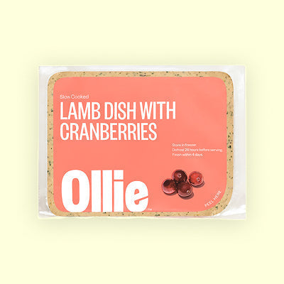Fresh Lamb Dog Food Recipe product image 1