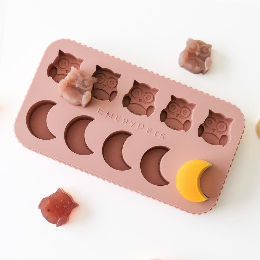 Dog Treat Mold product image 1