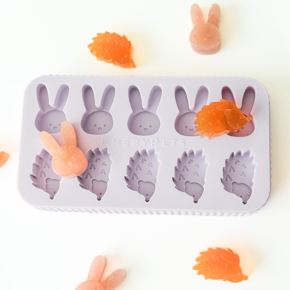 Dog Treat Mold product image 2