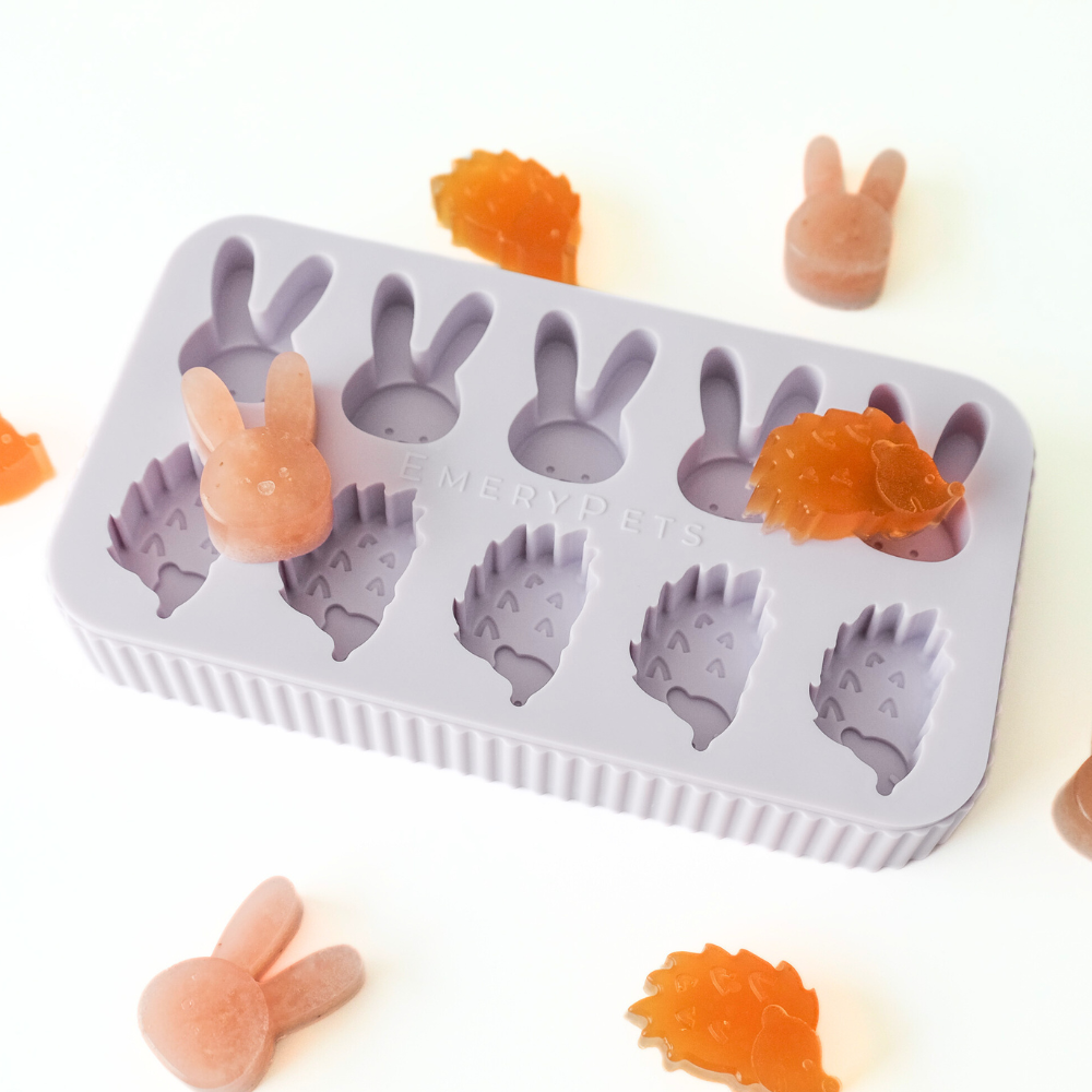 Dog Treat Mold product image 3