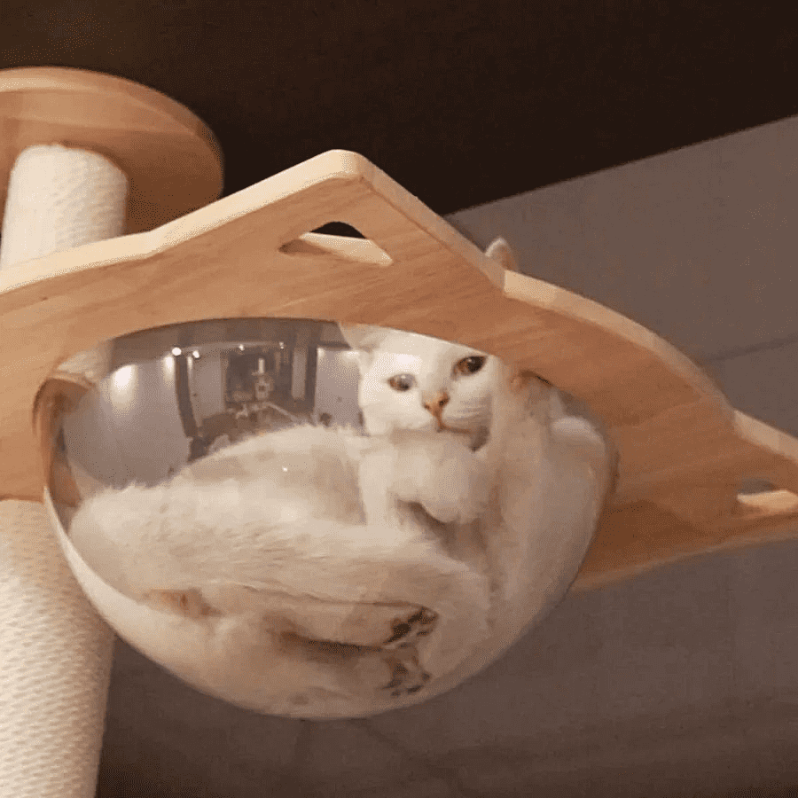Adjustable Floor-to-Ceiling Cat Tree product image 4