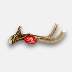 Deer Antler Dog Chew product image 1