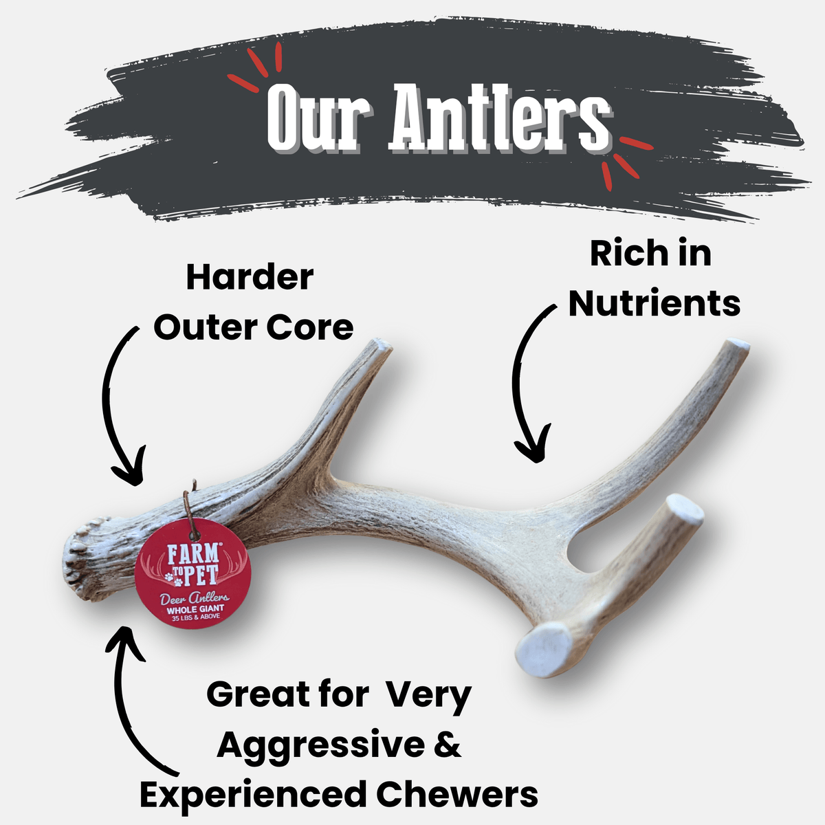 Deer Antler Dog Chew product image 2