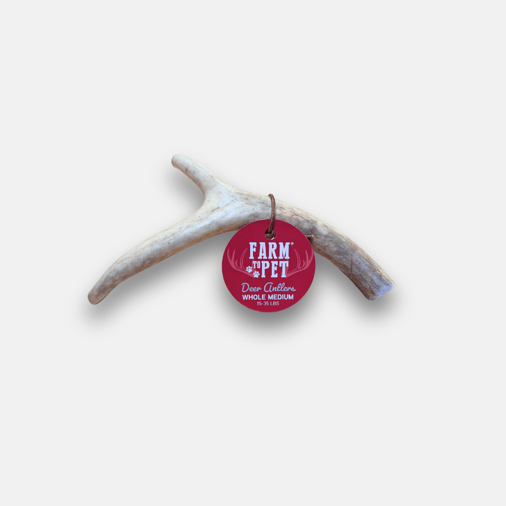 Deer Antler Dog Chew product image 3