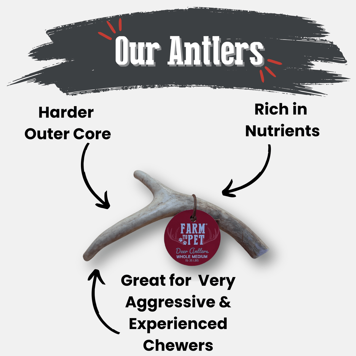 Deer Antler Dog Chew product image 4