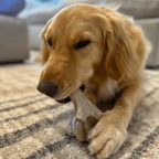 Deer Antler Dog Chew product image 5