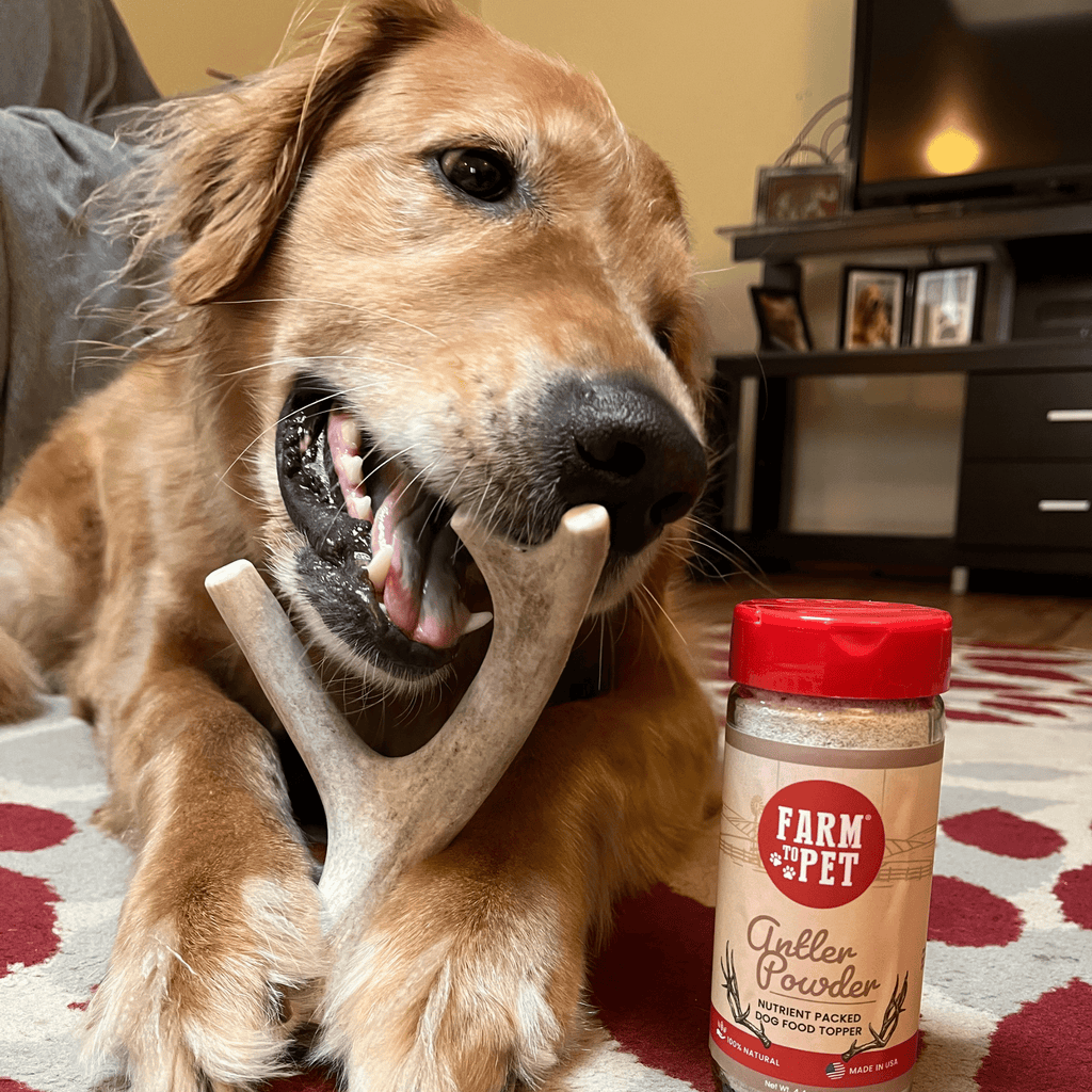 Deer Antler Dog Chew product image 6