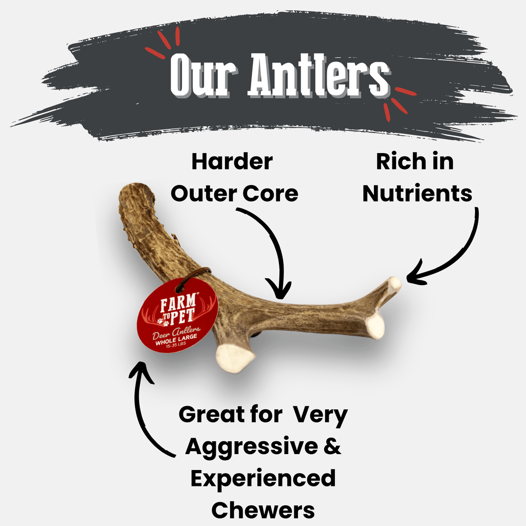 Deer Antler Dog Chew product image 11